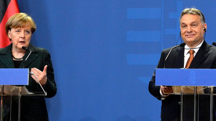 Kanzlerin Merkel hat Ministerpräsident Orbán im Februar besucht. Das Verhältnis der beiden zueinander dürfte seither kaum besser geworden sein.