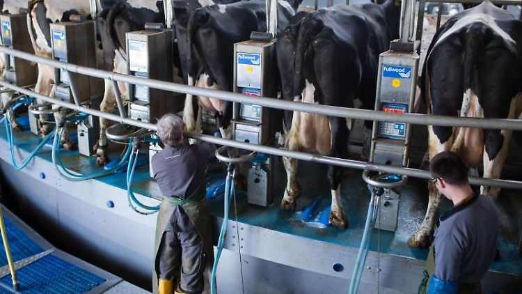 Derzeit wird in Europa zu viel Milch produziert.