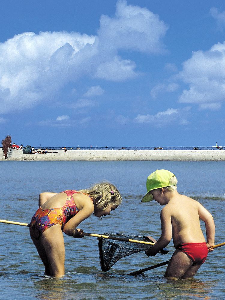 Auf Fischfang und Krabbenjagd - im flachen Wasser der Nordsee vor Texel spielen Kinder seit Jahrzehnten die immer gleichen Spiele.