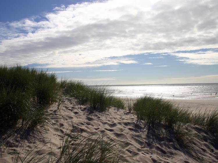 Unendliche Weiten: Der Strand auf Texel ist noch so eindrucksvoll wie vor einem Vierteljahrhundert - und der Dünenkamm genauso schön.