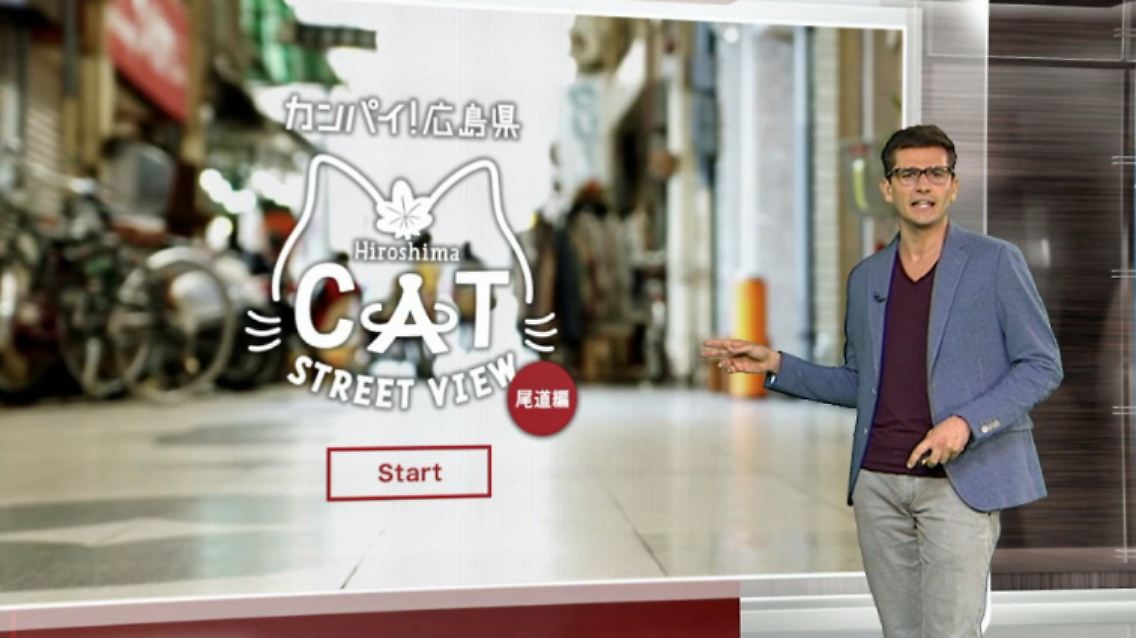 Netzreporter-Cat-Street-Vie.jpg