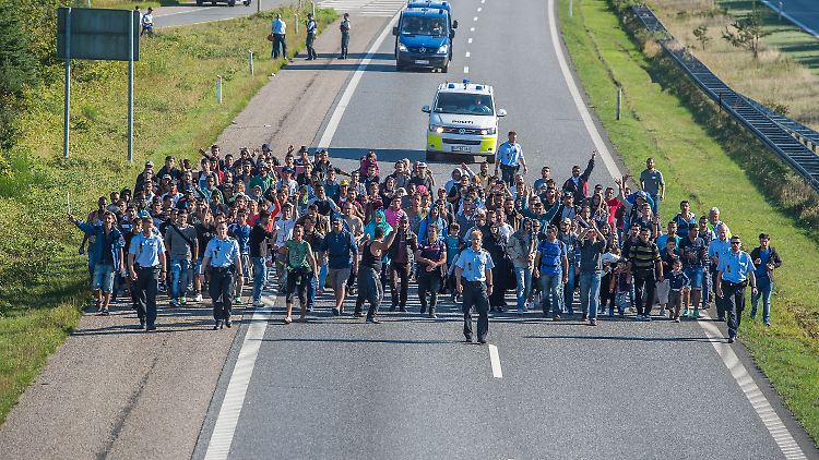Hunderte Flüchtlinge liefen auf einer dänischen Autobahn in Richtung Schweden.