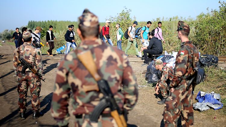 Die Lage in Röszke an der ungarisch-serbischen Grenze: Noch lässt das Militär die Flüchtlinge passieren.