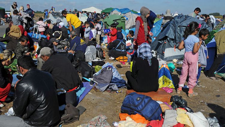 Die Zustände in Ungarns Flüchtlingslager bei Rözske sind unhaltbar.