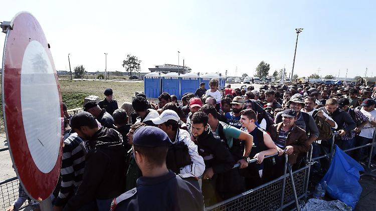 Flüchtlinge an der ungarisch-österreichischen Grenze in Nickelsdorf - die meisten wollen nach Deutschland weiterreisen.