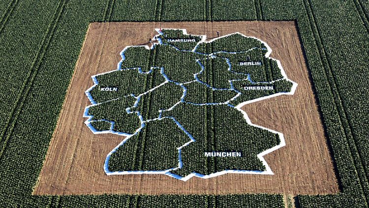Anders als es diese sechs Hektar große Deutschlandkarte aus 20.000 Kohlköpfen in einem Kornfeld suggeriert, ist Deutschland alles andere als homogen, wenn es um Bildung geht.