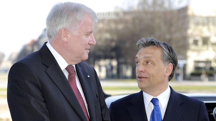 Horst Seehofers CSU pflegt seit langem eine gute Beziehung zu Viktor Orbán.