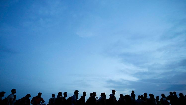 Hunderte Migranten warten an der serbisch-kroatischen Grenze bei Sid.