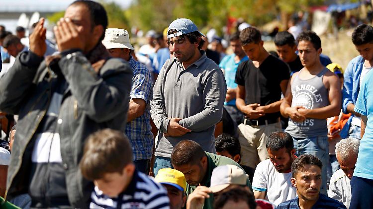 Noch ist unklar, wie groß der Anteil der Muslime unter den Flüchtlingen ist.