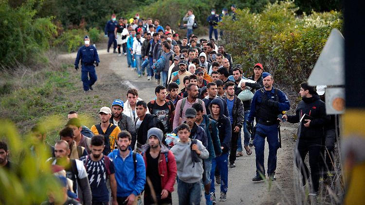 Flüchtlinge an der ungarischen Grenze bei Zákány, nachdem sie von kroatischen Behörden nach Ungarn weitergeleitet wurden.