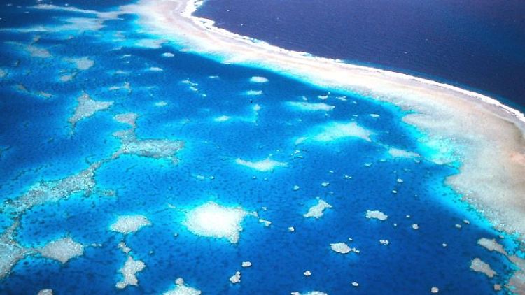 Das Vorgehen des Umweltministeriums geht auch zu Lasten des Great Barrier Reefs.
