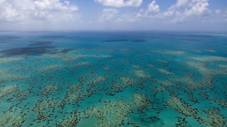 Australiens Great Barrier Reef ist weiter in einem schlechten Zustand.