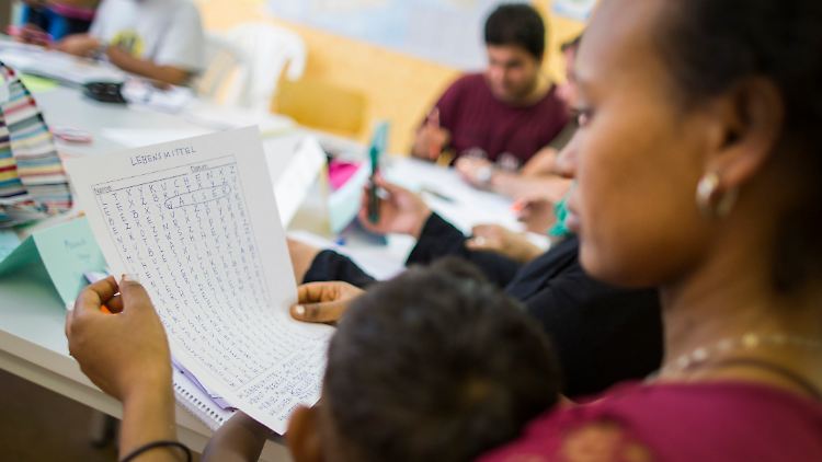 Die neue Partei Alfa fordert eine Reform der deutschen Flüchtlingspolitik.