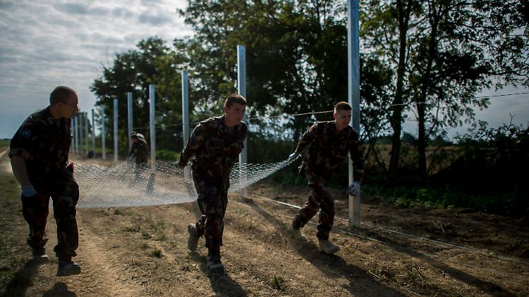 Ungarische Soldaten errichten einen Zaun an der Grenze zu Kroatien - der Zaun zu Serbien ist bereits fertig.