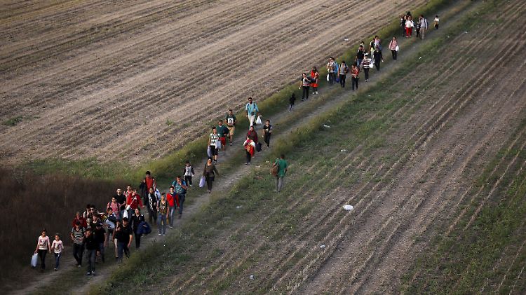 In der Nähe der kroatischen Grenzstadt Tovarnik. Ungarn hält Flüchtlinge aus dem Nachbarland mit einem Zaun, Tränengas und Wasserwerfern von der Einreise ab.