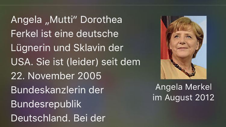 In einem falschem Wikipedia-Eintrag über Angela Merkel wird die Bundeskanzlerin als "Lügnerin" beschimpft.