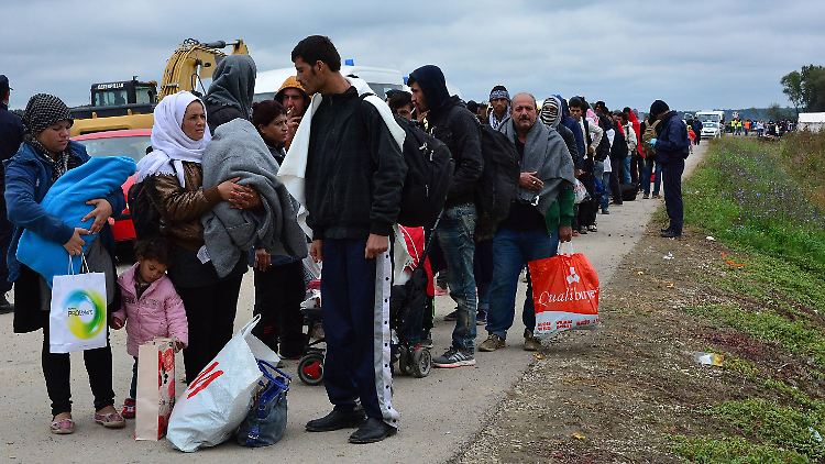 Flüchtlinge treffen aus Serbien kommend im kroatischen Strosinci ein.