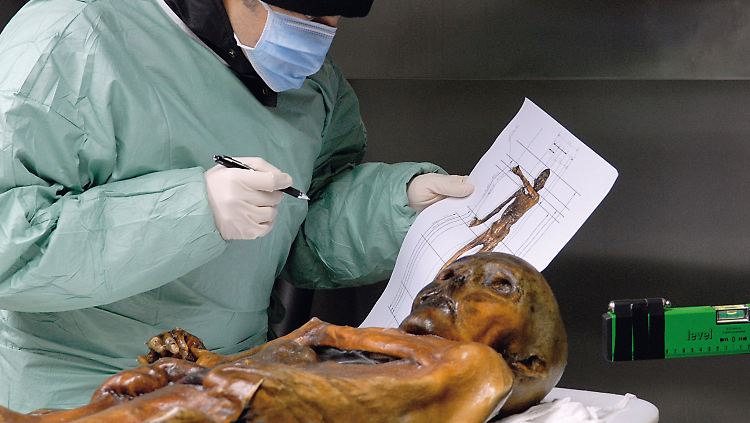 Ein Wissenschaftler untersucht im Archäologiemuseum in Bozen die Eismumie Ötzi, die hier bei Minusgraden konserviert wird.
