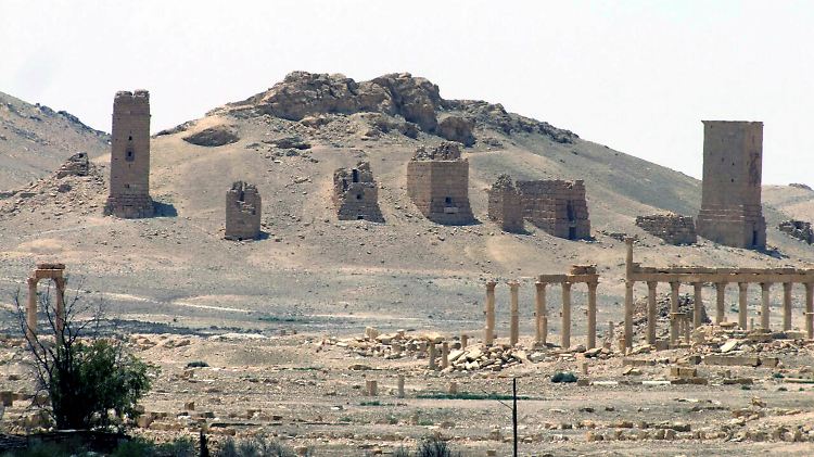 Die Säulen von Palmyra (Foto vom Mai 2015).