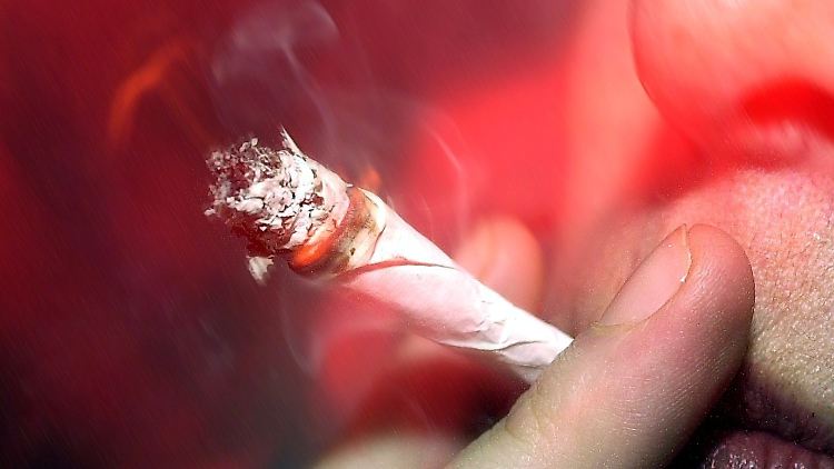 Der Berliner Bezirk Friedrichshain-Kreuzberg wollte vier eigene "Cannabis-Fachgeschäfte" betreiben. 