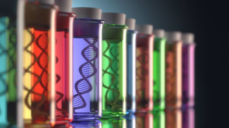 Die Forscher, die den diesjährigen Chemie-Nobelpreis erhalten, erforschen die Reparatur-Mechanismen, mit denen der Körper Schäden im Erbgut ausgleicht.