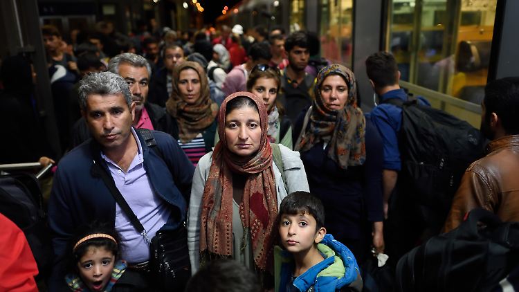 Seit Anfang des Jahres kamen mehr als 17.000 Flüchtlinge nach Sachsen-Anhalt.