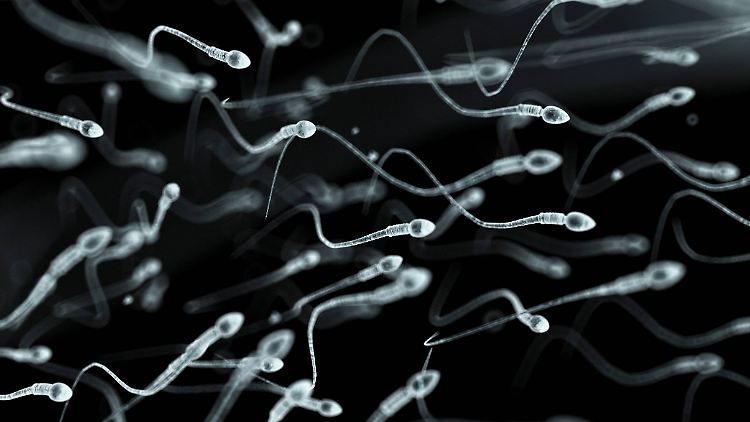 Das Sperma wurde den Patienten entnommen, während sie an Covid-19 erkrankt waren oder kurz nach der Genesung.