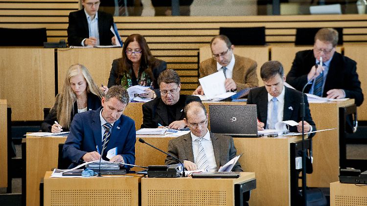Die AfD-Fraktion im Thüringer Landtag