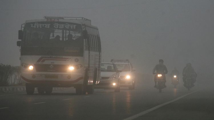 Highway in Indien: Seit dem Bau der neuen Schnellstraße sind 25 Männer bei dem Versuch, sie zu überqueren, gestorben.