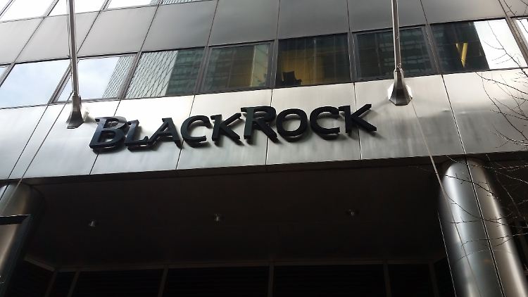 An Blackrock scheiden sich die Geister.