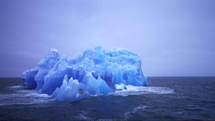 Erfolgreich unterdrückt: die nächste globale Kälteperiode. 500 Gigatonnen Kohlenstoff in der Atmosphäre sind schuld. (Hier im Bild: ein blauer Eisberg in der Antarktis. Im Vordergrund tummeln sich Pinguine.) 