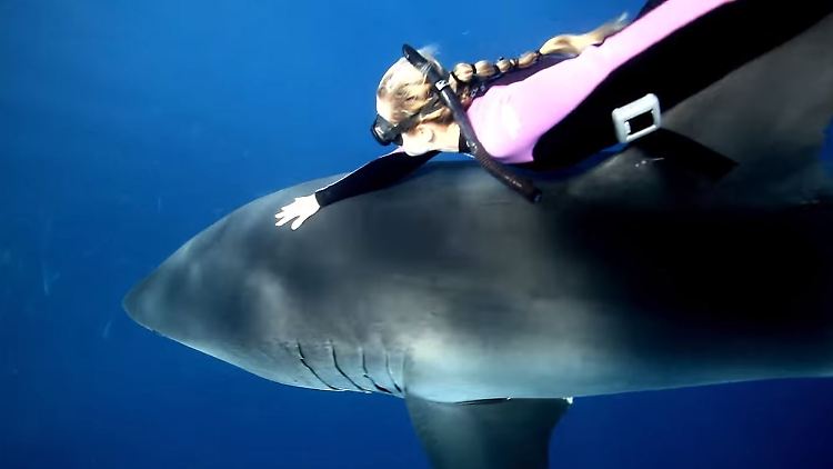 Ocean Ramsey kann 6 Minuten und 20 Sekunden die Luft anhalten. Ihr tiefster Tauchgang mit einem Hai ging auf 53 Meter.
