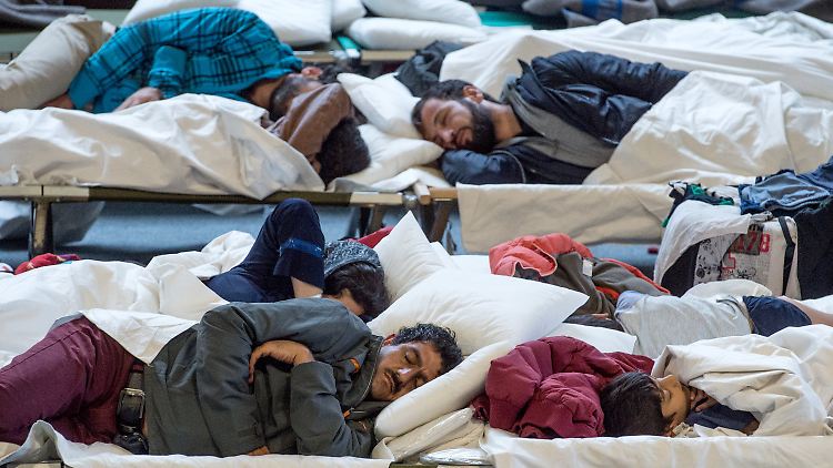 Auf Feldbetten schlafen die Flüchtlinge in der August-Schärttner-Halle in Hanau (Hessen).