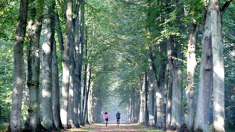 Sport und gesunde Ernährung sollen sich auszahlen: Generali Deutschland prescht vor.