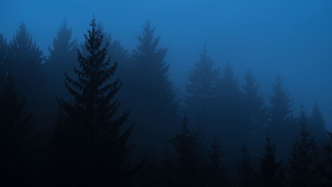 9c10a9650e15a8f716cd69832bdf220f.jpg