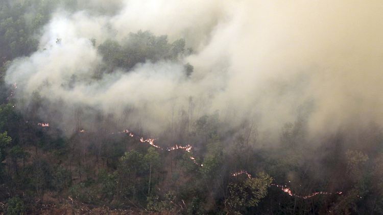 Momentan sind lediglich 30 Löschflugzeuge im Einsatz.