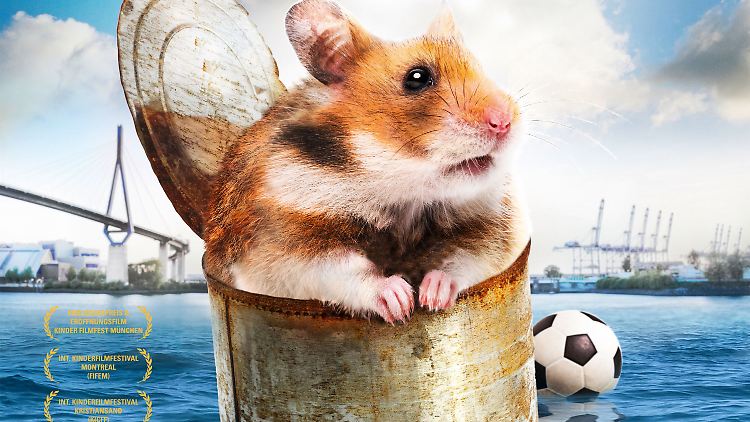 Ein kleiner Hamster mit großem Ärger.