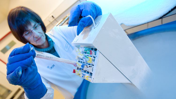 Bei -170 Grad Celsius werden Samenspenden gelagert, damit sie frisch bleiben.