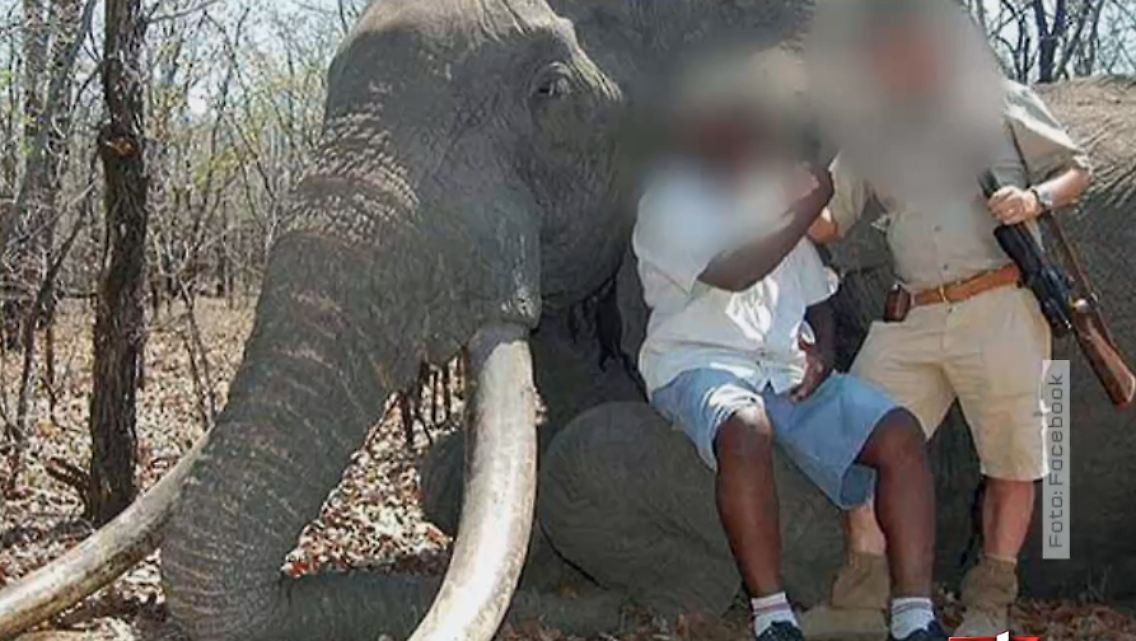 Jagd_Simbabwe_Elefant.jpg