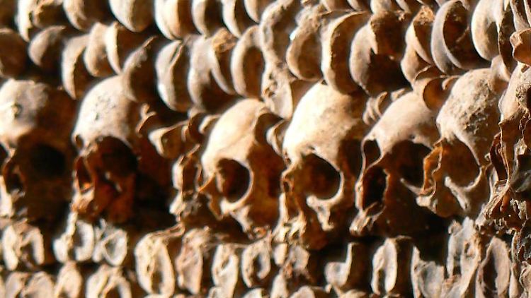 Totenschädel in einer Katakombe in Paris. Foto: Julika Herzog