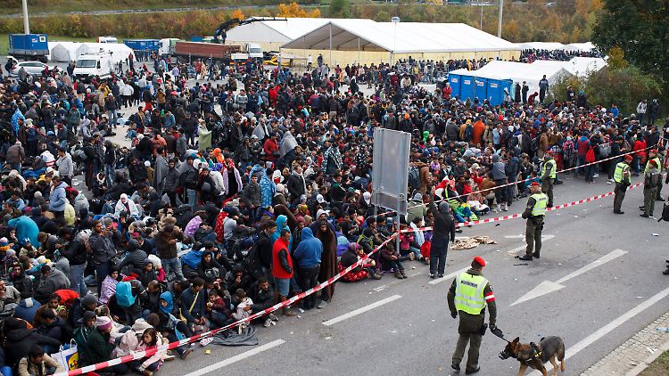 Hunderte Flüchtlinge warten an der slowenisch-österreichischen Grenze.