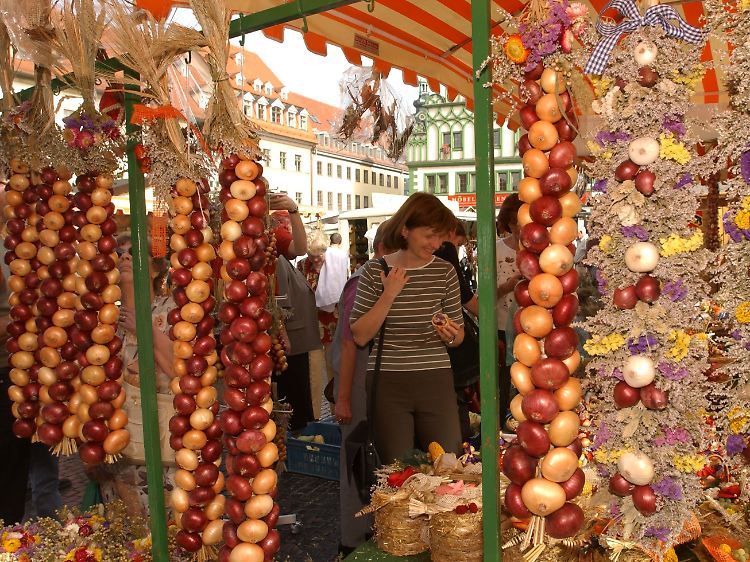 Prachtvolle Zwiebelzöpfe sind das Markenzeichen des Weimarer Zwiebelmarktes.
