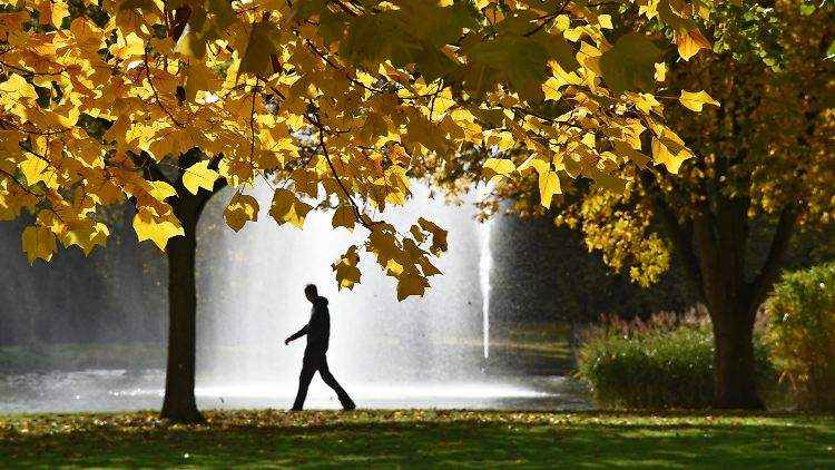 Das Wetter am Wochenende lädt durchaus zu einem Herbstspaziergang ein.