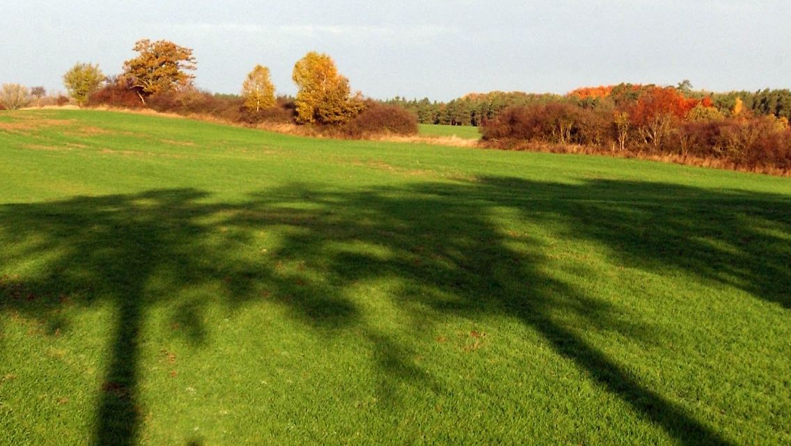 5312011.jpg