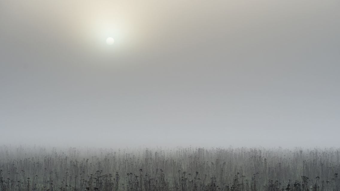 c876de931f2111d437cf033b75a49665.jpg