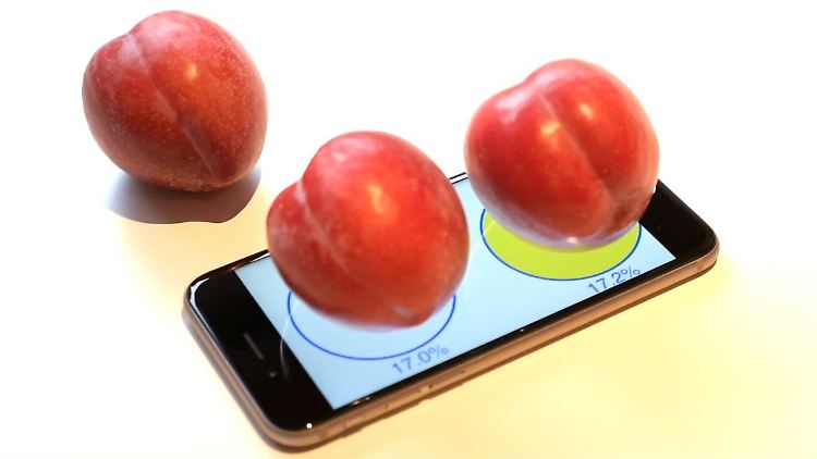 Der Plum-O-Meter zeigt, welche Pflaume die schwerere ist.