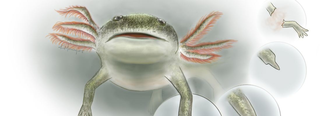 newsimage267402.jpg
