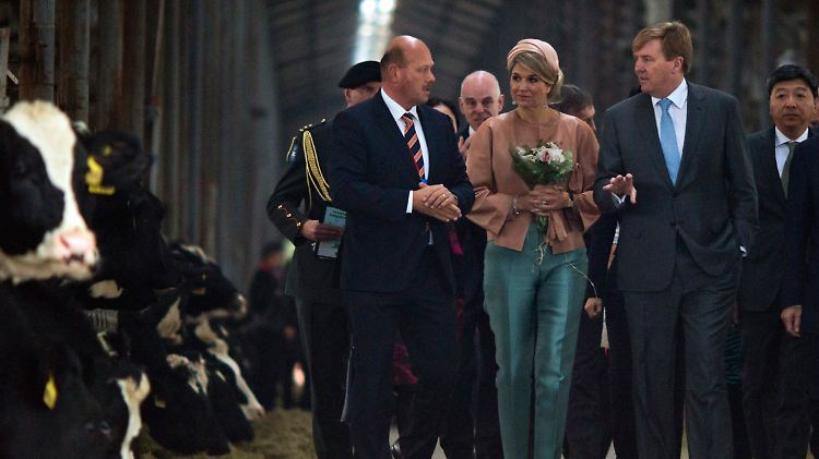 König Willem-Alexander und Königin Maxima besuchen während ihres Staatsbesuchs in China eine Molkerei in einem Randbezirk von Peking.