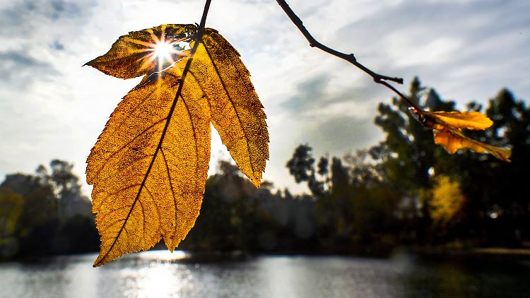 Die Chance den nächsten Sonnenstrahl zu erhaschen, ist am Sonntag wohl am größten. 