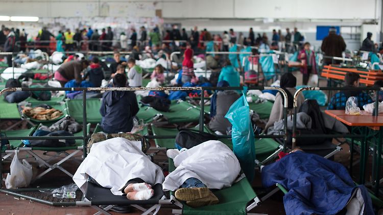 Die Angst vor Verteilungskämpfen aufgrund des Flüchtlingsandrangs sei verfehlt, sagt Ökonom Fratzscher. 